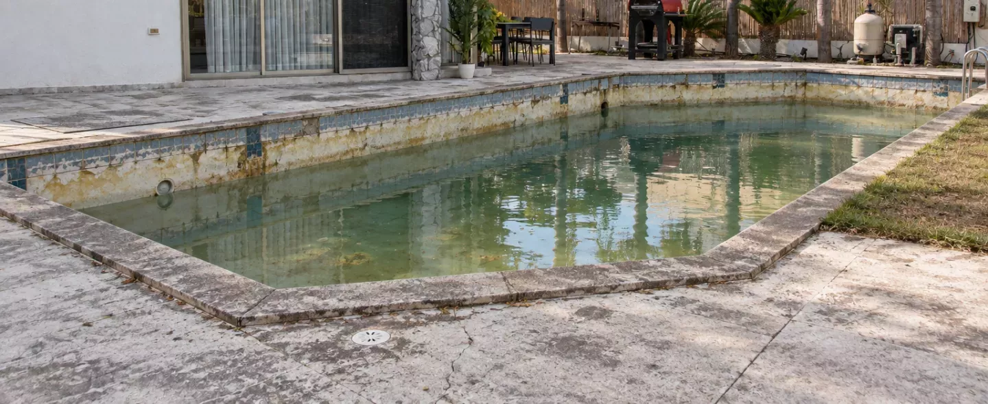 Dated South Florida backyard pool with stained plaster before Sapphire Pools remodel