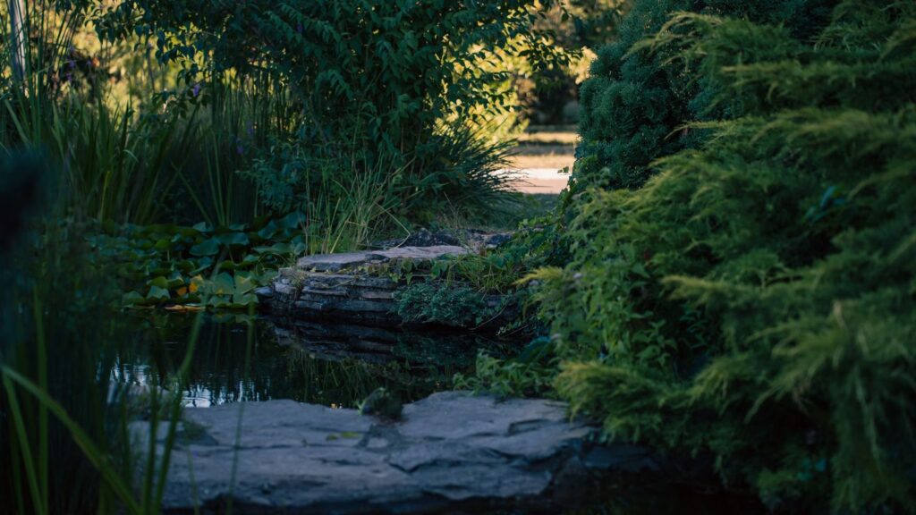 Sleek Organic Pool Design with Elevated Spa